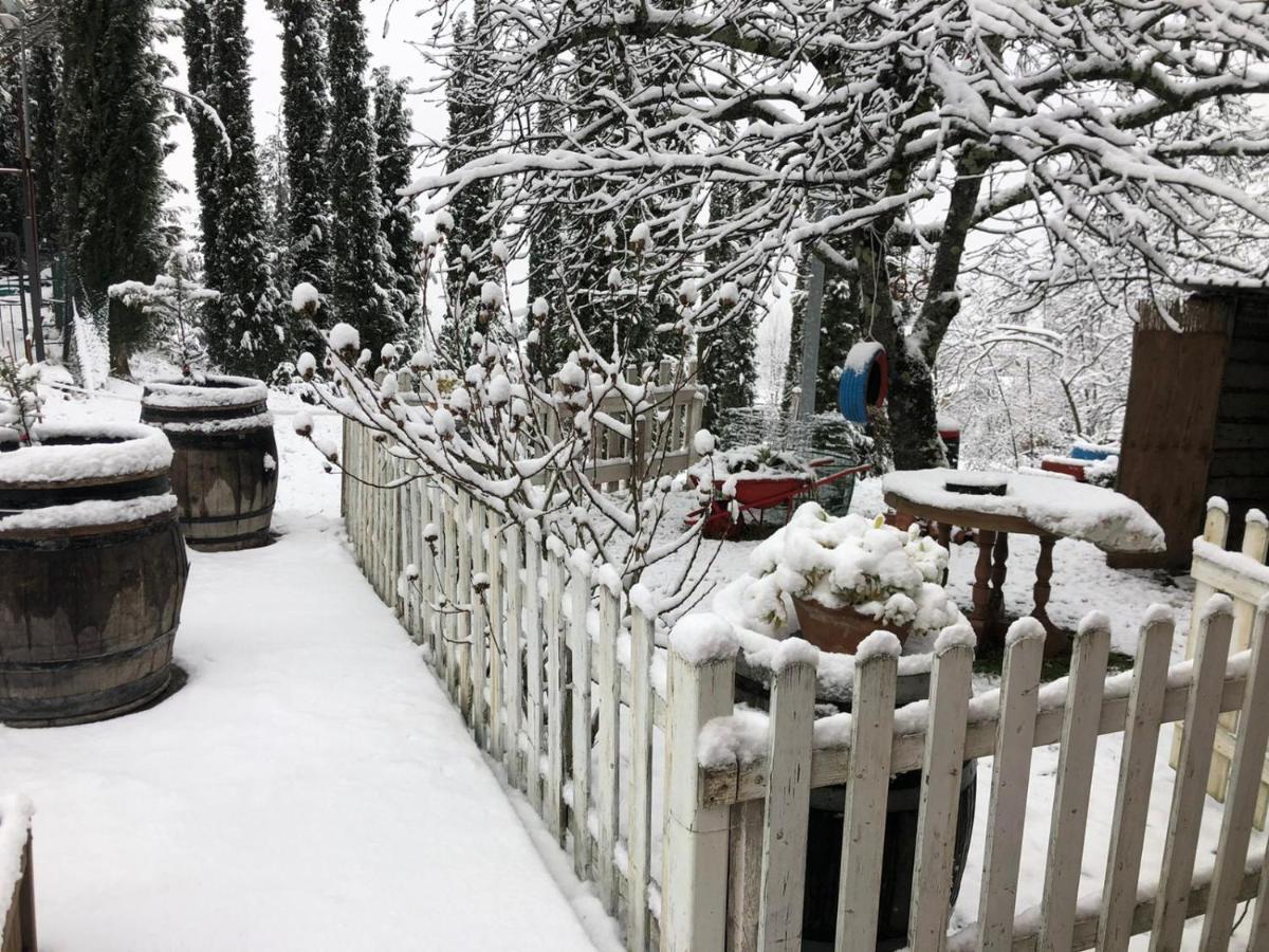 La Casa Di Nonno Lägenhet Pelago Exteriör bild